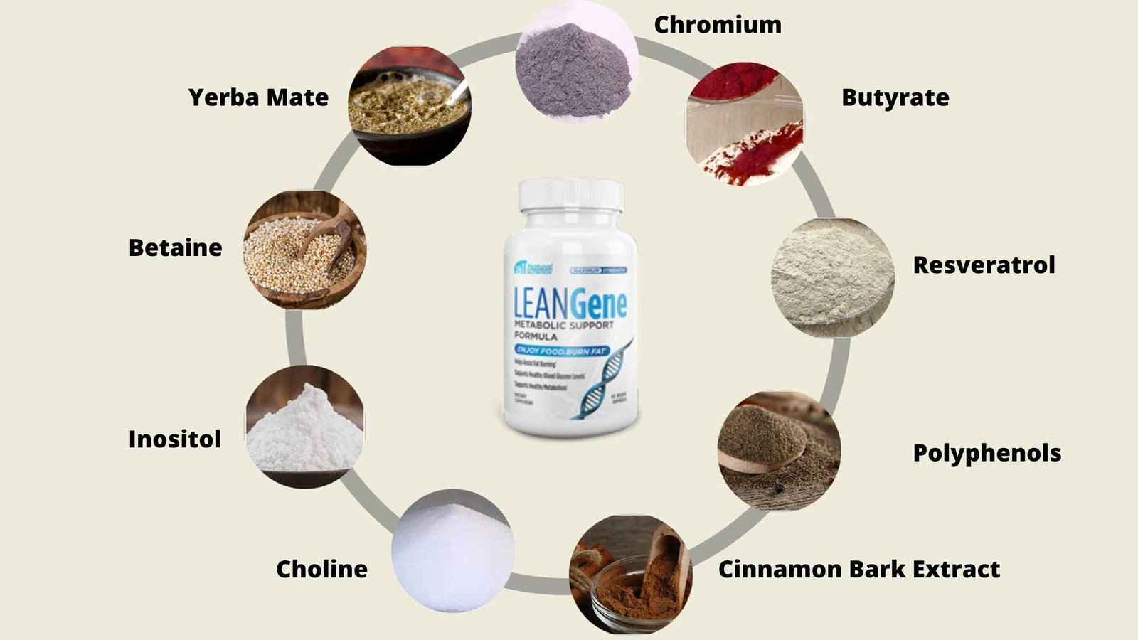 Lean Gene supplement ingredients